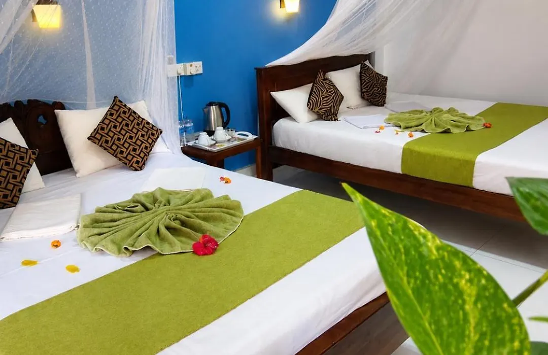 Sigiri Lion Lodge-1