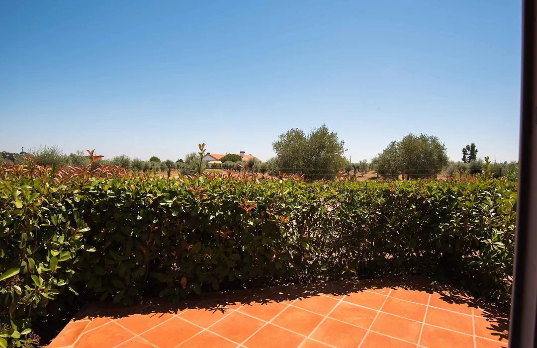 Vila Gale Alentejo Vineyard - Clube De Campo-1