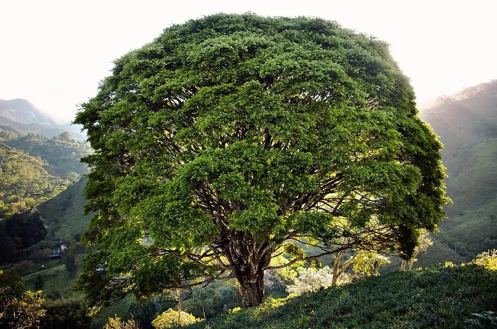 Pousada da Gruta-1