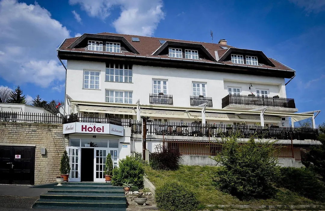 Budai Hotel-1