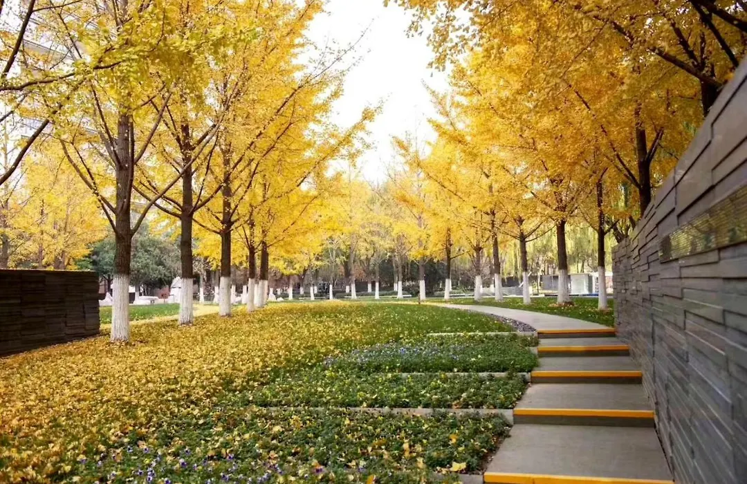 Fraser Suites Nanjing-1