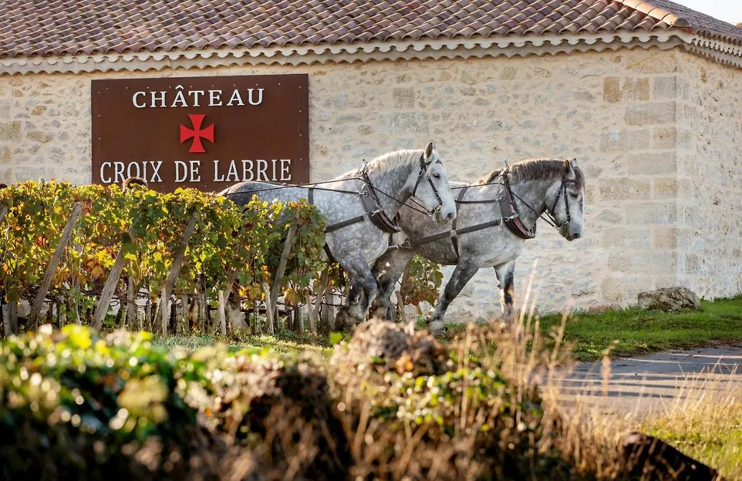 Chateau Croix De Labrie-1