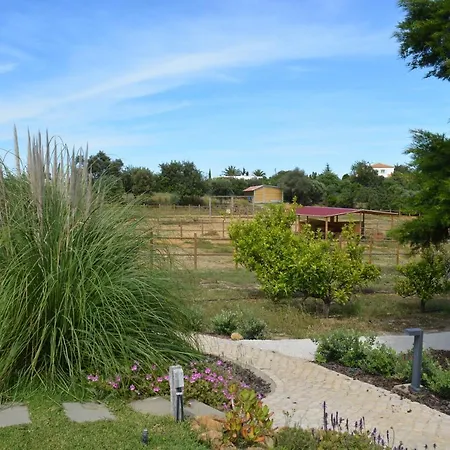 Quinta Luz Do Sol-3