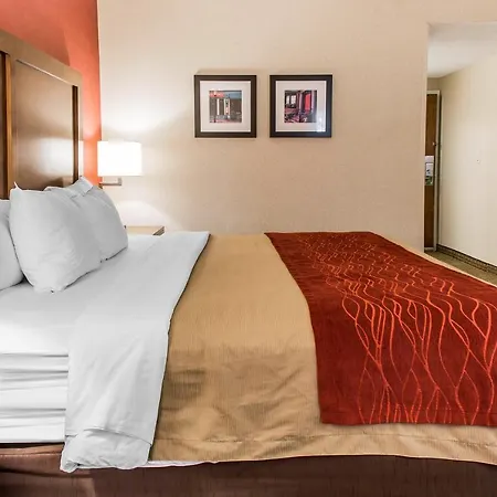 Comfort Inn Boston-3