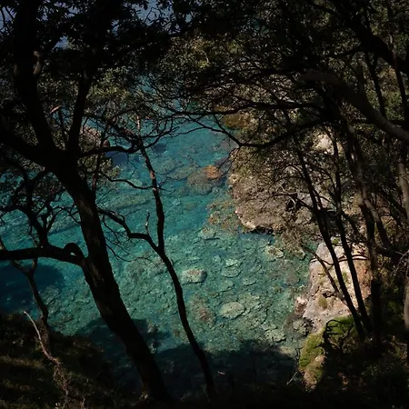 Amaranto-3