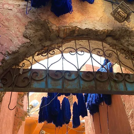 Riad Alamine-3