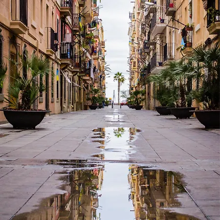 Toc Hotel Las Ramblas-2