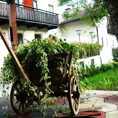 Gasthof Goldenes Lamm-3