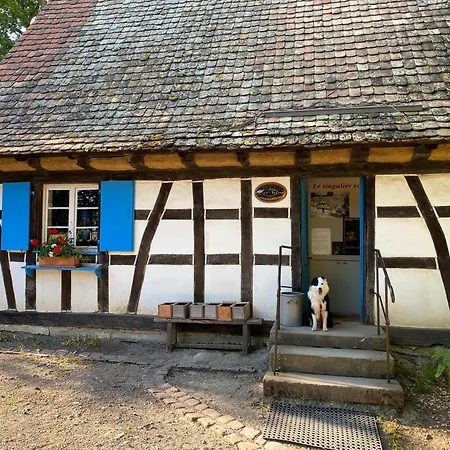 Chambres d'Hôtes des Cascades St-Nicolas-3