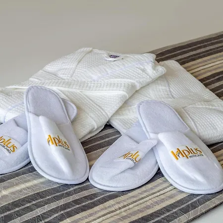 Hplus Premium Palmas-3