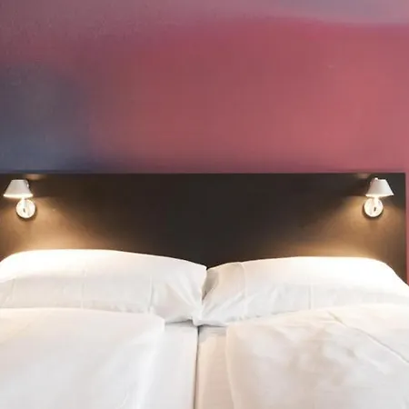 Hotel Montana Zuerich-3