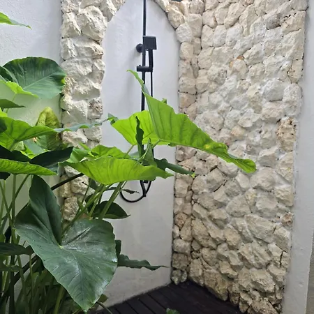 Little Elephant Cottage-2