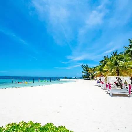 Oh! Cancun - The Urban Oasis & Beach Club (Adults Only)-2