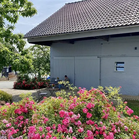 Hof Hallenberg-3