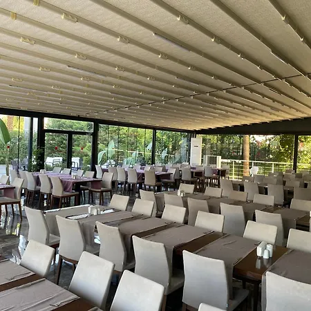 B Business Hotel & Spa-3