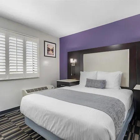Surestay Hotel By Best Western Beverly Hills West La-3