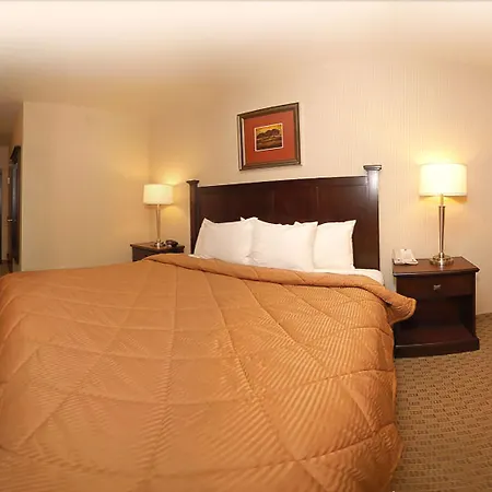 Comfort Inn & Suites Henderson - Las Vegas-3