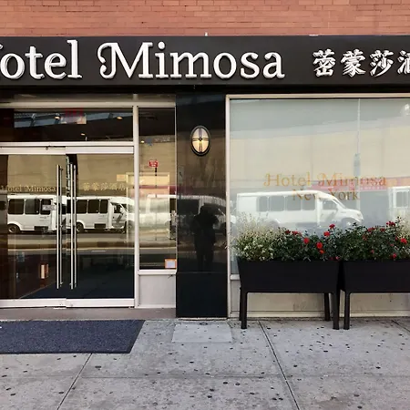 Hotel Mimosa-3