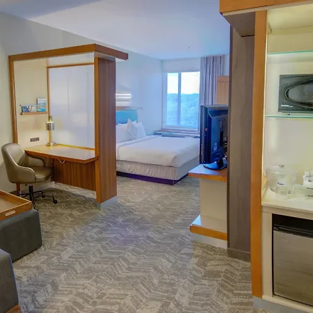 Springhill Suites By Marriott Macon-3