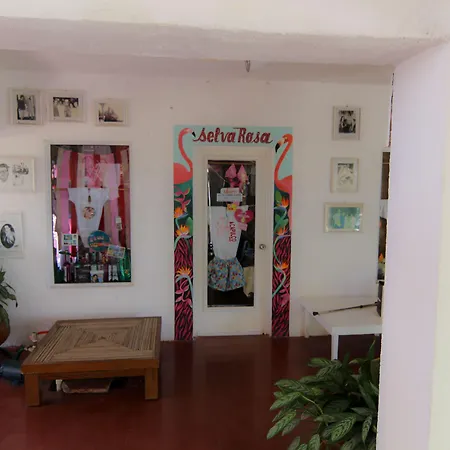 Hotel Flamingos-2