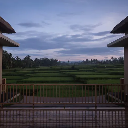 Manyi Village Ubud-3