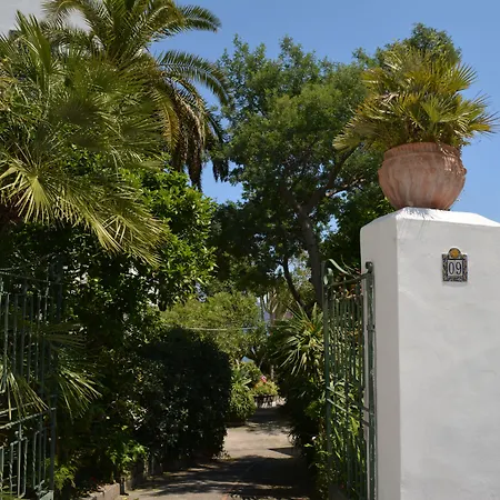 Villa Panoramica - Ischia Ponte-3