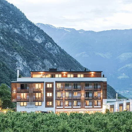 Hotel Burgaunerhof-3