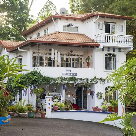 Hotel Ave Del Paraiso-2
