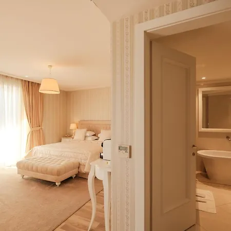 Palace Hotel & Spa-3