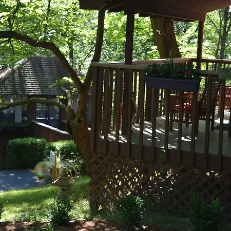 The Woods Cabins-3