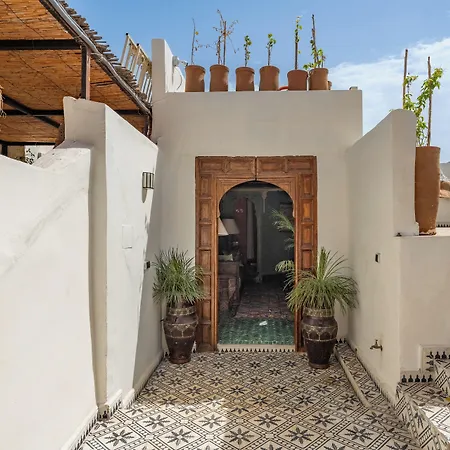 Riad Yamina52-3