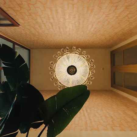 Hotel Omega-2