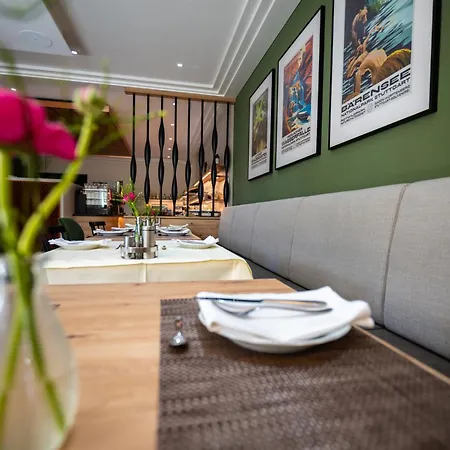 Hotel Azenberg-3