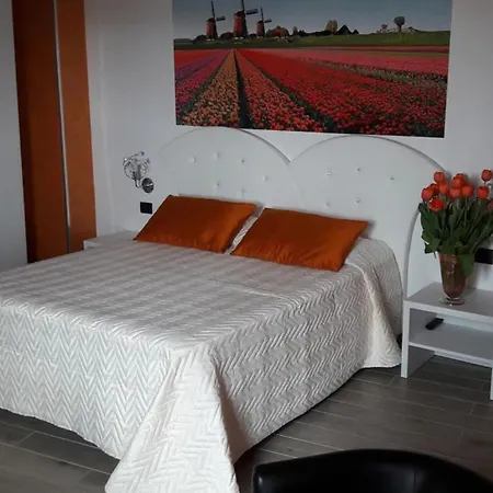 Capital Bed Porto Cesareo-3