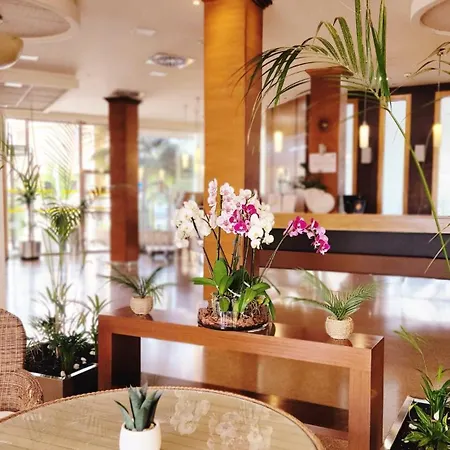 Hotel Costa Narejos-2