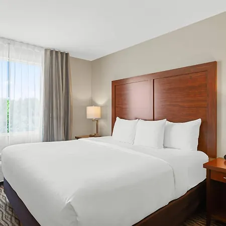 Comfort Inn & Suites-2