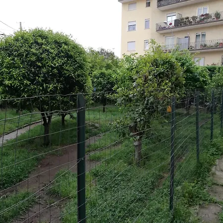 L' albero di giada-2