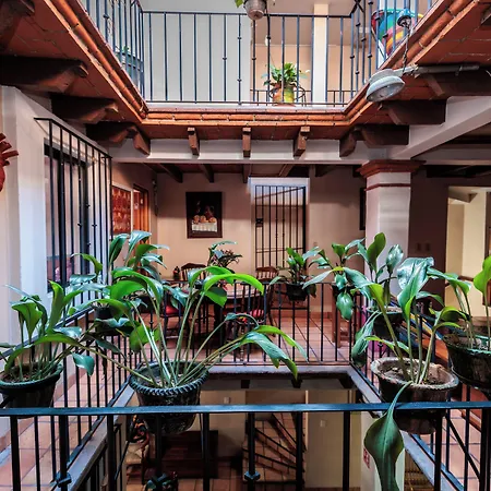 Hotel Rosa Mexicano-2