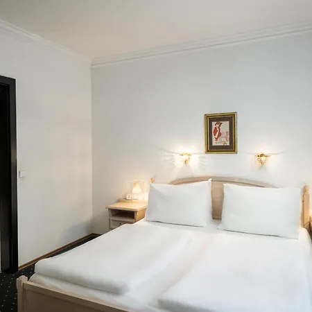Arthotel Ana Gala, Trademark Collection By Wyndham-3