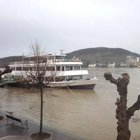 Hotel Rheinischer Hof-3