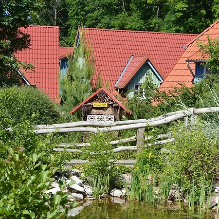 Hasseröder Ferienpark-2