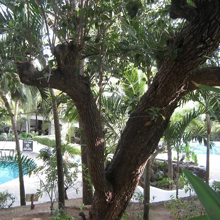 Scorpio Villas Resort-3