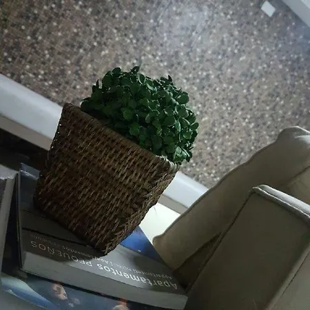 Hotel Flor-3