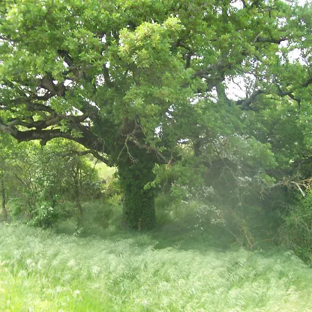 Chambre d'hôtes La Margotte-3