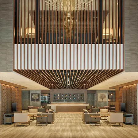 Bof Hotels Business-3