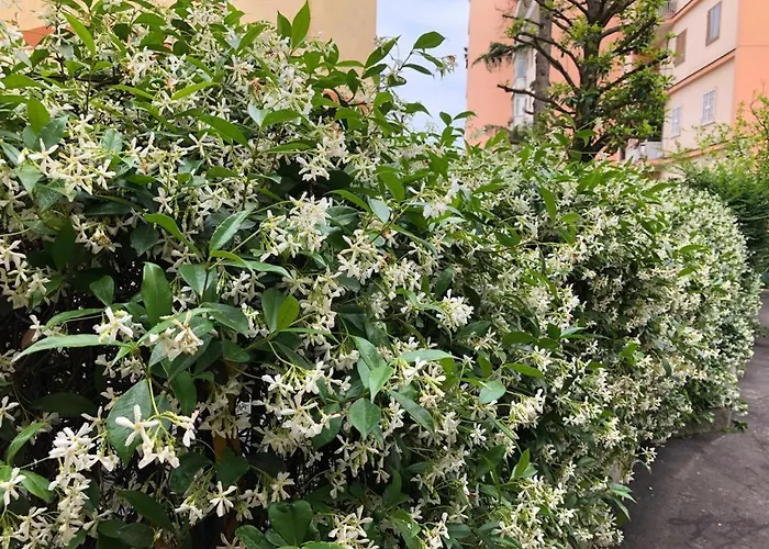 Bed and Breakfast La Casa nel Parco Napoli