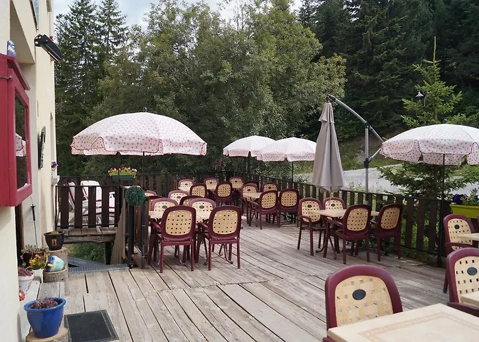Hotel - Restaurant Le Blanchon Selonnet