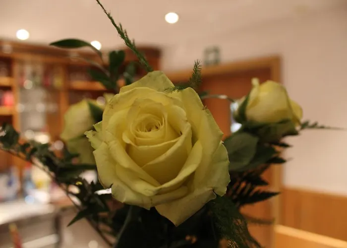 Hotel Albena - garni Hotel