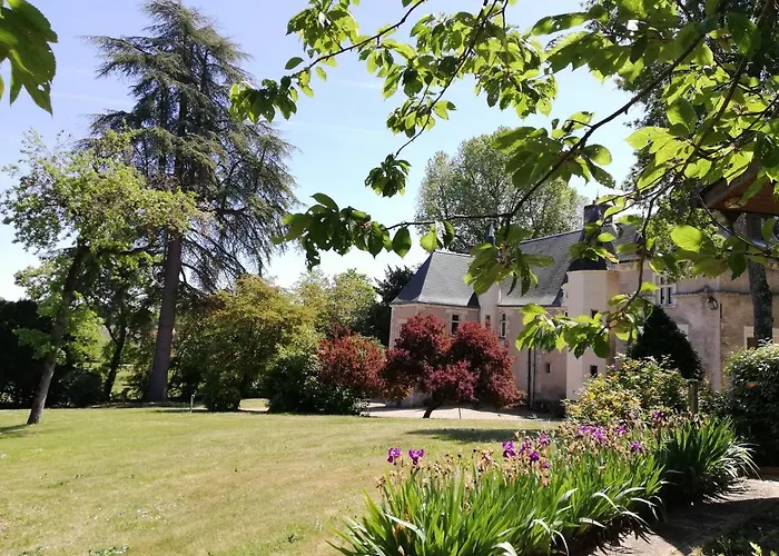 Bed and Breakfast Manoir de la Touche à Azay-le-Rideau