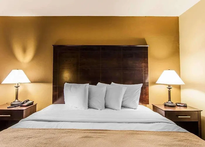 Quality Inn & Suites Bremen